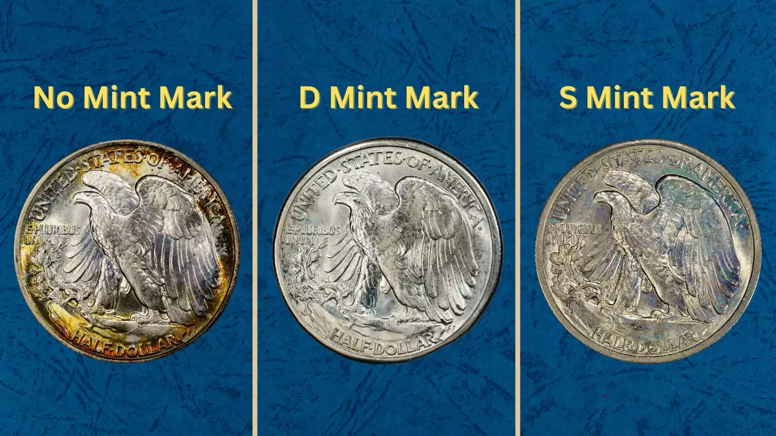 1943 Walking Liberty half dollar grading strip showing four condition tiers from Worn to Gem Uncirculated